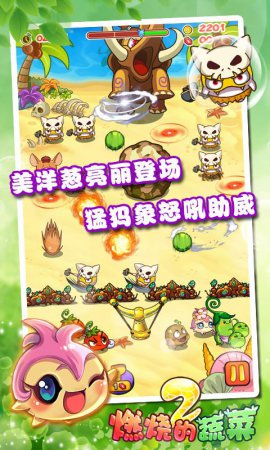 燃烧的蔬菜2