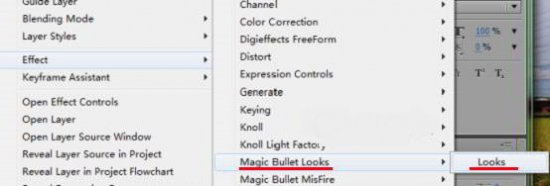 Magic Bullet Looks