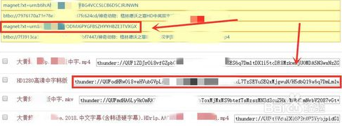 迅雷5.8不升级版本下载-迅雷5.8绿色共存版(高速修改)下载v5.8.14.706 经典稳定版-第4张图片