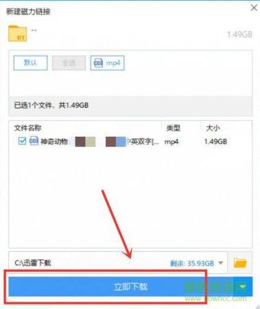 迅雷5.8不升级版本下载-迅雷5.8绿色共存版(高速修改)下载v5.8.14.706 经典稳定版-第4张图片