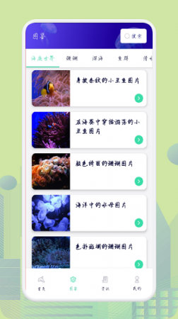 海底鲸探下载