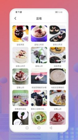 幸福生活的蓝莓餐app下载-幸福生活的蓝莓餐菜谱下载v1.1 安卓版-第1张图片