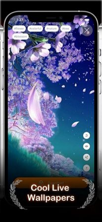 airlive app