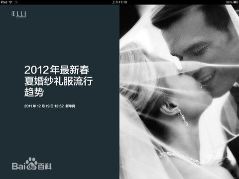 zaker新闻pc版下载