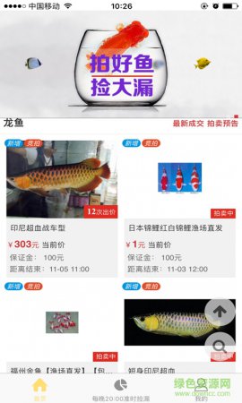 拍鱼网客户端