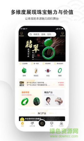 珠宝猫
