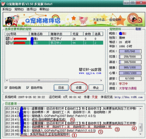 Q宠猪猪伴侣