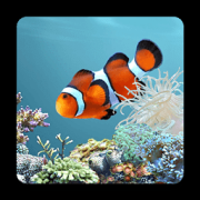 3D梦幻水族馆动态壁纸app-3D梦幻水族馆动态壁纸(暂未上线)v3.30 安卓版