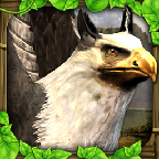 狮鹫模拟器下载-狮鹫模拟器(griffin sim)内购修改版下载v2 安卓版