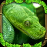 蟒蛇模拟器游戏下载-蟒蛇模拟器(Snake Sim)下载v1.1 安卓版