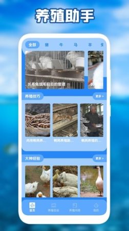 养殖星小课堂app下载-养殖星小课堂软件下载v1.1 安卓版-第1张图片