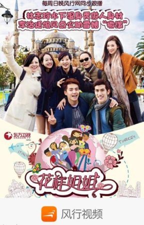 风行视频下载-风行视频去广告清爽版下载v4.3.0.12 安卓版-第8张图片