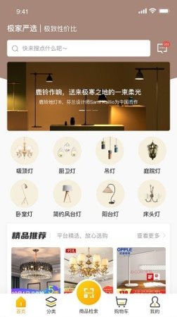 极家严选软件