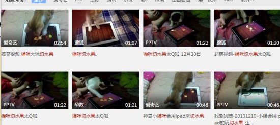 猫咪冠军游戏
