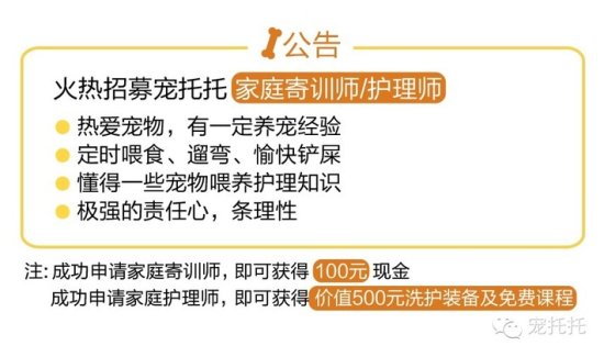 宠托托ios版下载-宠托托iPhone版下载v1.1.2 苹果版-第1张图片