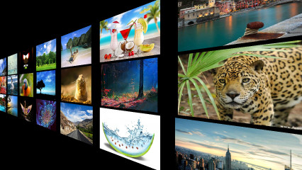 3d电子相册app下载-Vyomy Gallery(3d相册)下载v1.3.1 安卓版-第1张图片