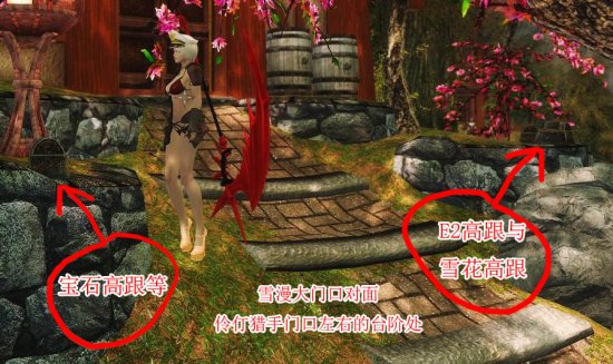 上古卷轴5高跟鞋mod-上古卷轴5性感宝石高跟鞋mod下载-第1张图片
