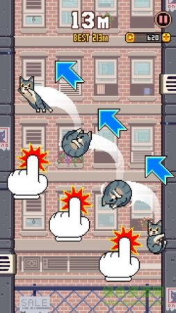 猫咪跳高高最新版