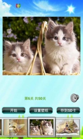 猫咪拼图儿童游戏手机版