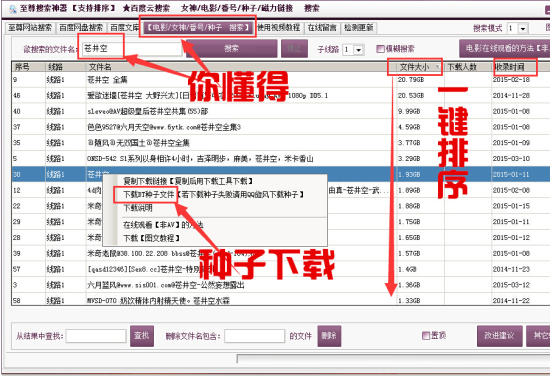 百度网盘搜索神器2015-百度网盘搜索器下载v6.08 免费版-第3张图片