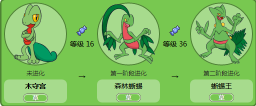 口袋妖怪红蓝宝石复刻版汉化版下载-口袋妖怪红蓝宝石复刻版中文版下载绿色版-第6张图片