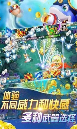 鱼丸捕鱼大作战赢手机版