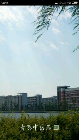 青葱中医药软件
