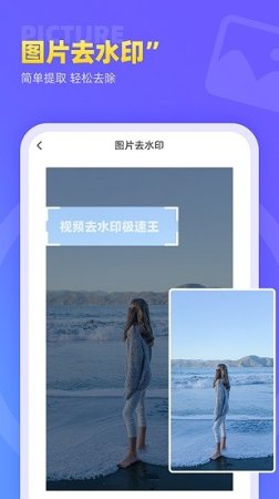 视频去水印极速王app下载