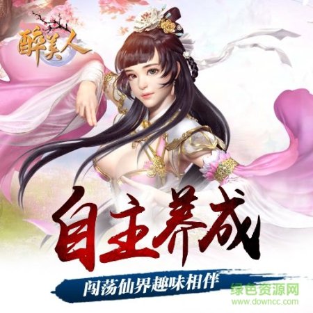 醉美人果盘版